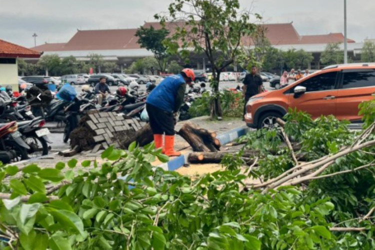 Tim BPBD Jatim Respons Cepat Dampak Angin Puting Beliung di Bandara Juanda