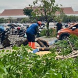 Gerak Cepat BPBD Jatim Tangani Dampak Angin Puting Beliung di Bandara Juanda