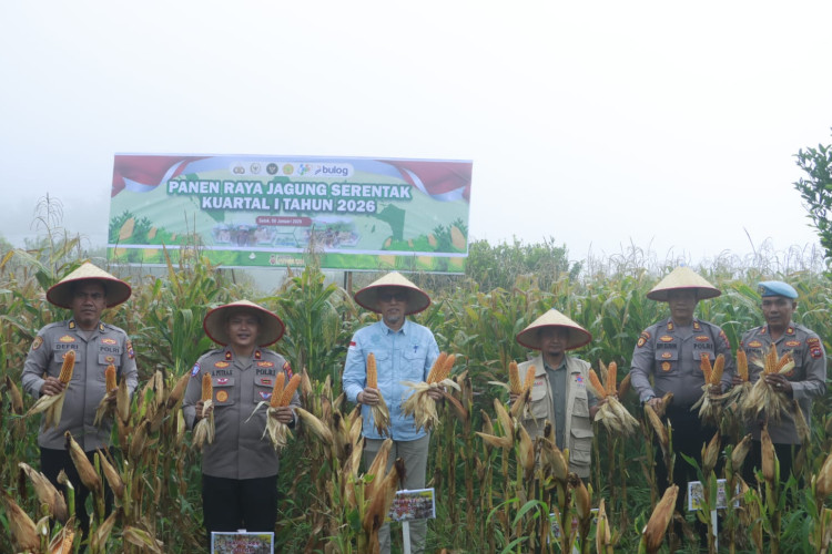 Jagung Jadi Senjata Polres Solok Perkuat Ketahanan Pangan