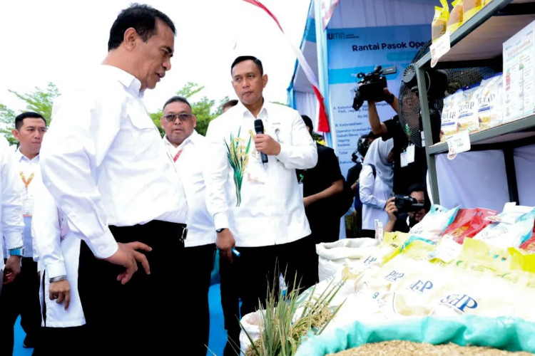 Bulog Cetak Rekor Sejarah, Serap 4,5 Juta Ton Gabah di 2025 Dukung Swasembada Beras