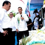 Rekor Melesat, Bulog Serap 4,5 Juta Ton Gabah Tertinggi Sepanjang Sejarah