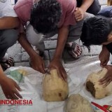 Tiga Tradisi Bondowoso Masuk Daftar Warisan Budaya Takbenda