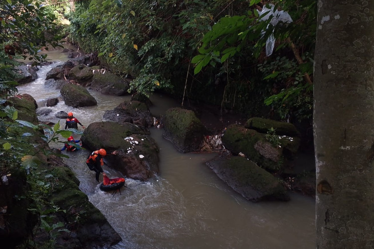 Buruh Tani di Banyuwangi Diduga Hanyut, Menyisakan Mesin Potong Rumput