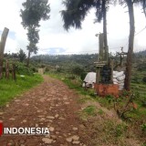 Masih Tersembunyi, Bosweisen Objek Wisata Baru di Dataran Tinggi Dieng Banjarnegara