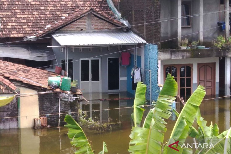 Banjir Rendam 870 Rumah di Kudus, BPBD Sebut Akibat Luapan Sungai