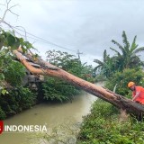 BPBD Pacitan Minta Masyarakat Waspadai Cuaca Ekstrem