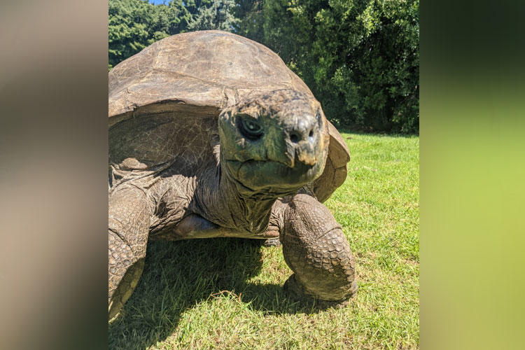 #utk stok pagi# Selamat Ulang Tahun Jonathan...