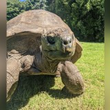 Selamat Ulang Tahun Jonathan...