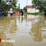Banjir Bandang dan Longsor Terjang Pati, Ribuan Rumah Warga Terdampak