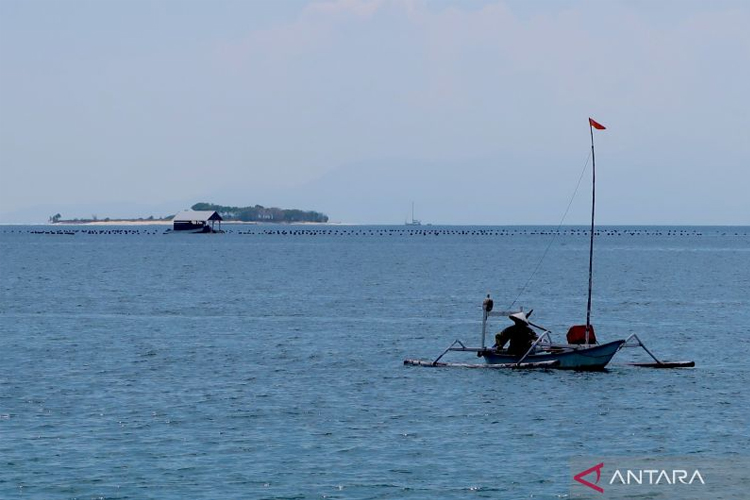 NTB Bidik Investasi Perikanan, Kanada Siap Masuk Hilirisasi Laut