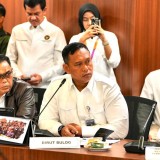 Dari Rp50 per Kg Jadi 7%, Zulhas Beberkan Alasan Kenaikan Margin Fee untuk Perkuat Peran Bulog