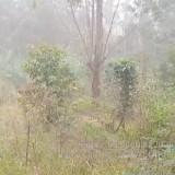 Alih Fungsi Lahan di Kawasan Bandung Utara-Selatan Bisa Picu Krisis Air dan Longsor dalam 10-15 Tahun