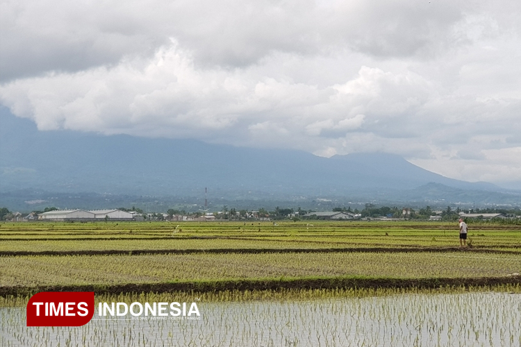 32 Persen Warga Kabupaten Malang Bekerja di Sektor Pertanian