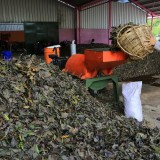 Pemkot Surabaya Hemat Rp6,73 Miliar per Tahun dari Pengelolaan Sampah