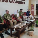 Fapet UGM Kembangkan Pakan Hijauan Bernutrisi Tinggi, Solusi Tekan Biaya Produksi Ternak