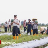 Kakanwil Ditjenpas Jatim Panen Semangka di SAE Lapas Banyu