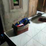 Begini Isi Surat dari Orang Tua yang Buang Bayinya dalam kardus Mie Instan di Banyuwangi