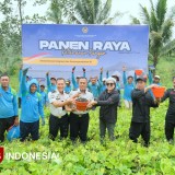 Lapas Malang Ikut Panen Raya, Dukung Ketahanan Pangan