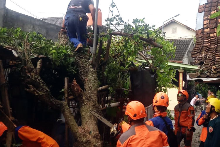 Puncak Musim Hujan Mendekat, Pemkot Yogyakarta Perpanjang Status Siaga Darurat