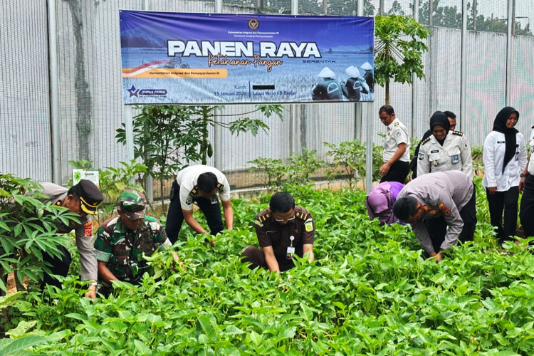 Lapas Banjar Gelar Panen Raya Serentak, Wujudkan Kemandirian Warga Binaan