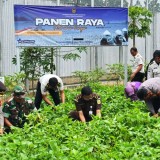 Warga Binaan Lapas Banjar Sukses Panen, Hasilnya Dihadiahkan untuk Korban Bencana