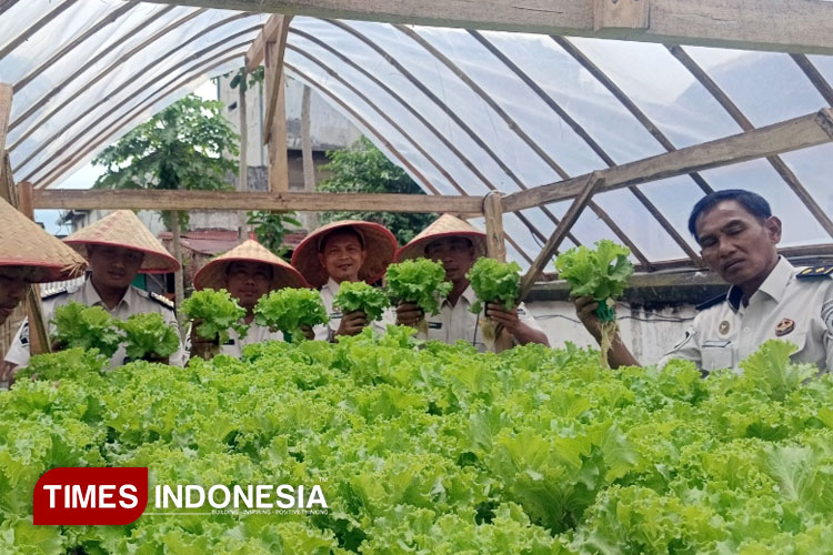 Panen Serentak: Hasil Produksi Pertanian WBP Lapas Klas IIB Bondowoso Akan Didonasikan ke Sumatra