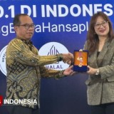 Hansaplast Tegaskan Komitmen Sertifikasi Halal pada Produk Kesehatan