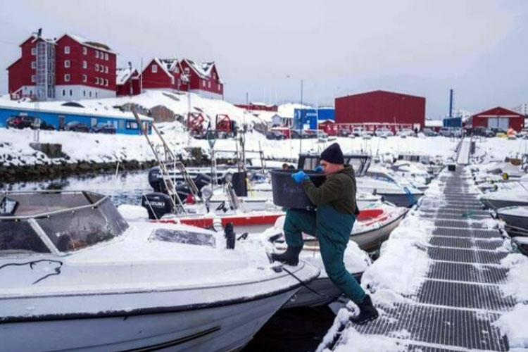 AS Tak Gentar Rebut Greenland Meski Eropa Perbanyak Pasukan