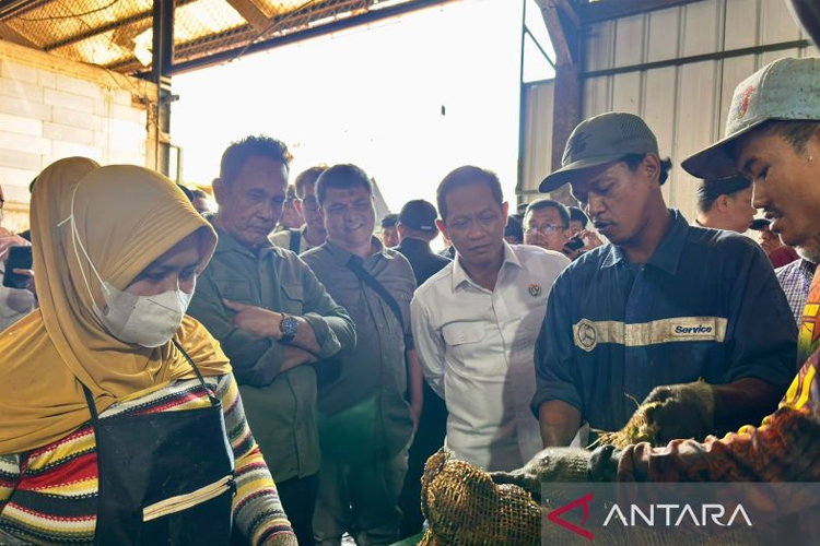 Menteri LH Dorong Penegakan Hukum dan Sanksi Pidana Pengelolaan Sampah Bandung