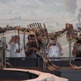 Museum Nasional Indonesia Targetkan 780 Ribu Pengunjung di Tahun 2026