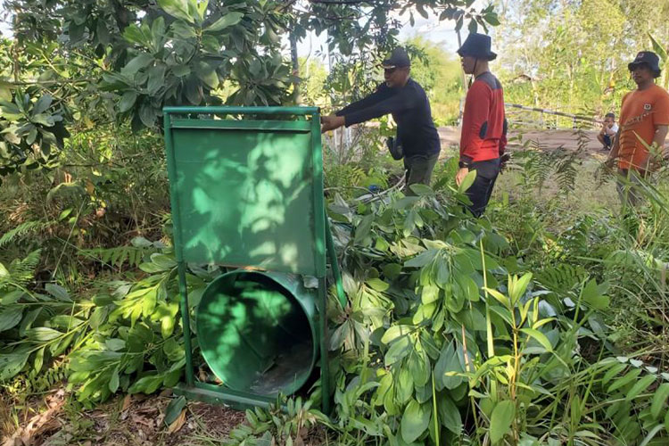 Beruang Madu Masuk Permukiman Sampit, BKSDA Pasang Perangkap Evakuasi