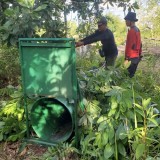 Beruang Madu Masuk Permukiman Sampit, BKSDA Pasang Perangkap Evakuasi