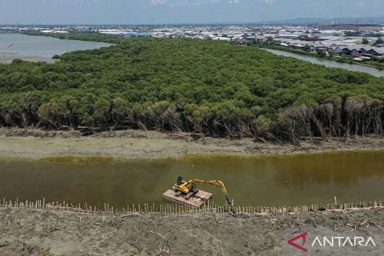 Riset BRIN: Degradasi Lamun di Jawa dan Sumatra Picu Emisi Karbon Tertinggi