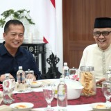 Kemenhaj Dorong Integrasi Ekonomi Daerah NTB dengan Ekosistem Haji dan Wisata Arab Saudi