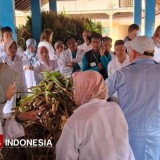 Kementan Gandeng Denmark Gelar ToT Pelatihan Susu Organik