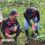 Wujudkan Harmoni Tri Hita Karana, PDI Perjuangan Jember Tanam 1.053 Pohon