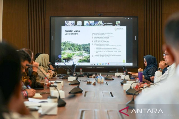 Dorong Pemerataan Investasi, Otorita IKN Siapkan Kawasan Strategis Penyangga