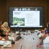 Perkuat Ekosistem Ekonomi, Otorita IKN Susun Payung Hukum untuk Daerah Mitra