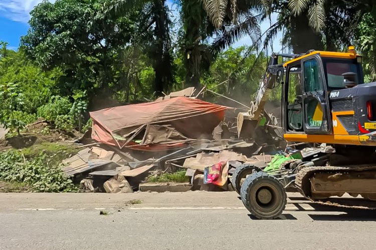 Jaga Visi Kota Hijau, Otorita IKN Tertibkan Bangunan Tanpa Izin