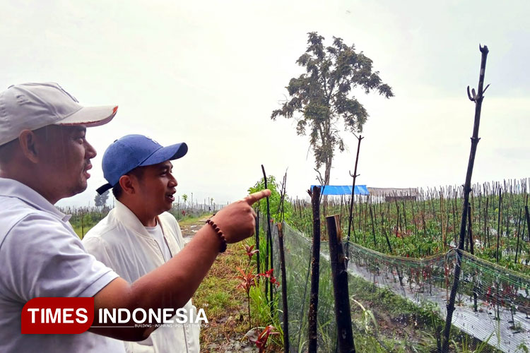 DPRD Banyuwangi Sayangkan Maraknya Alih Fungsi Lahan Perkebunan