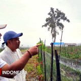 DPRD Banyuwangi Sayangkan Maraknya Alih Fungsi Lahan Perkebunan