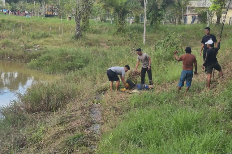 Diserang Buaya di Waduk Persemaian, Ibu Paruh Baya Diselamatkan Polisi Tarakan