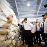 Mentan Amran Murka, Penyelundupan Beras 1.000 Ton di Karimun Dinodai Capaian Swasembada Nasional