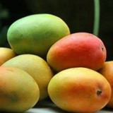 Majalengka dan Sumedang Kolaborasi Kembangkan Mangga Gedong Gincu Ekspor