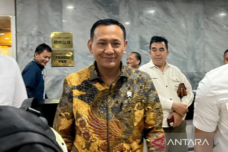 Sawit di Kawasan Hutan Tembus 3,32 Juta Hektare, Wamenhut Ungkap Ancaman Deforestasi