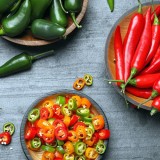 Capsaicin dalam Makanan Pedas, Ini Efeknya bagi Metabolisme Tubuh