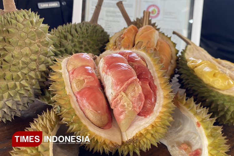 Durian-Merah-Banyuwangi-2.jpg