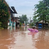 3 Kecamatan di Kabupaten Pasuruan Timur Terendam Banjir