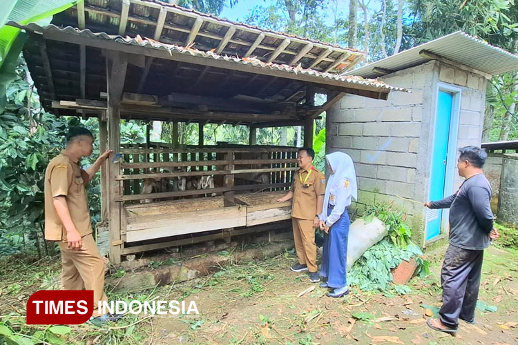 SMPN 2 Kebonagung Pacitan Ajarkan Siswa Berdaya Lewat Program Kambing Indukan
