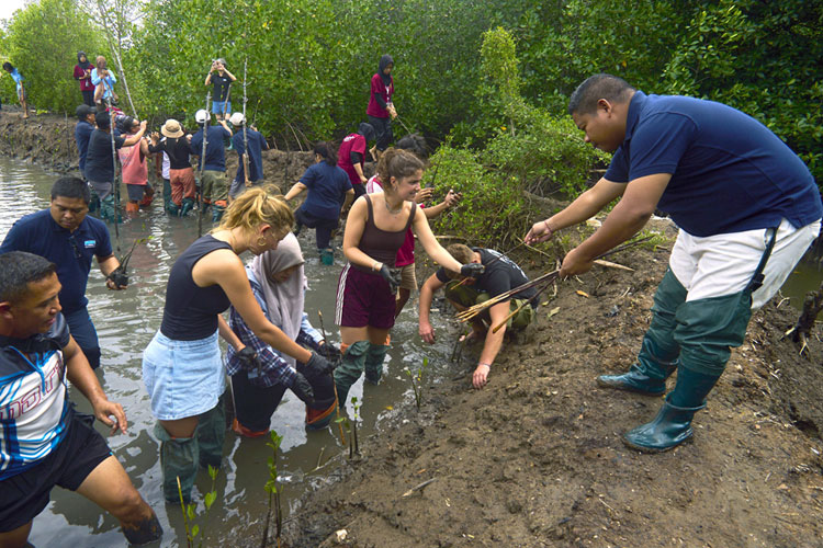 Holiday Resort Lombok Rayakan 30 Tahun dengan Sustainability Festival